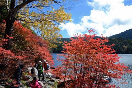 寫真で観る「日本の秋」