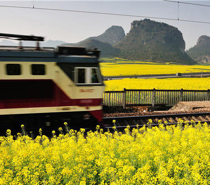 春を疾走する列車(chē)　雲(yún)南省