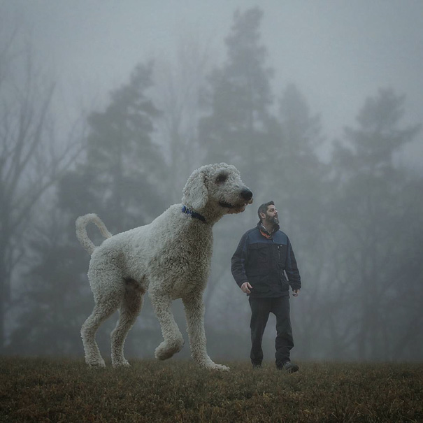 可愛い！フォトショで巨大化した愛犬とのツーショット