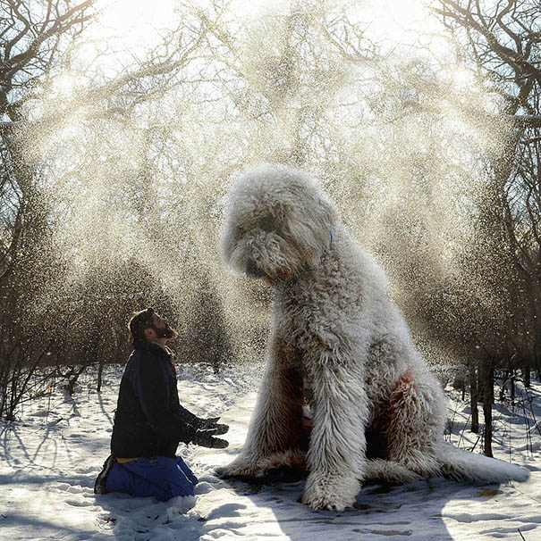 可愛い！フォトショで巨大化した愛犬とのツーショット