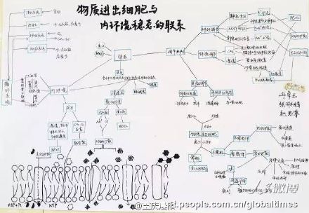 手描きのミトコンドリアに仰天！優(yōu)等生の精巧すぎる生物ノート　重慶