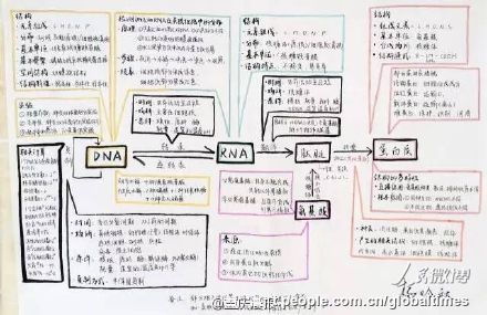 手描きのミトコンドリアに仰天！優(yōu)等生の精巧すぎる生物ノート　重慶