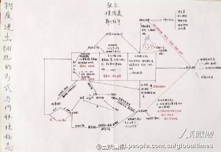 手描きのミトコンドリアに仰天！優(yōu)等生の精巧すぎる生物ノート　重慶