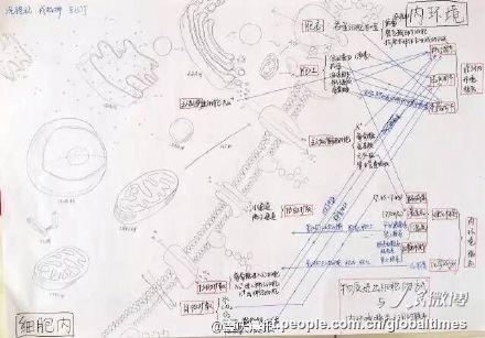 手描きのミトコンドリアに仰天！優(yōu)等生の精巧すぎる生物ノート　重慶