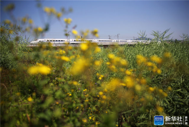 安徽省大別山區(qū)を「通り抜ける」高速鉄道