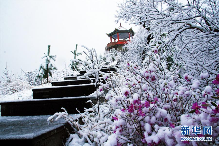 5月の雪に覆われる內モンゴル