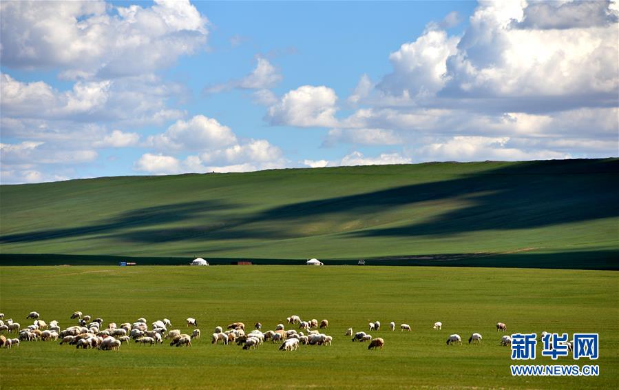 夏のシリンゴル草原に広がる絶景　內(nèi)モンゴル