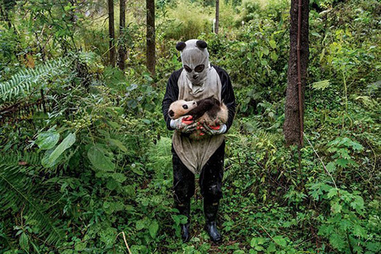 「パンダスーツ」を著込んで野生パンダを撮影するカメラマン