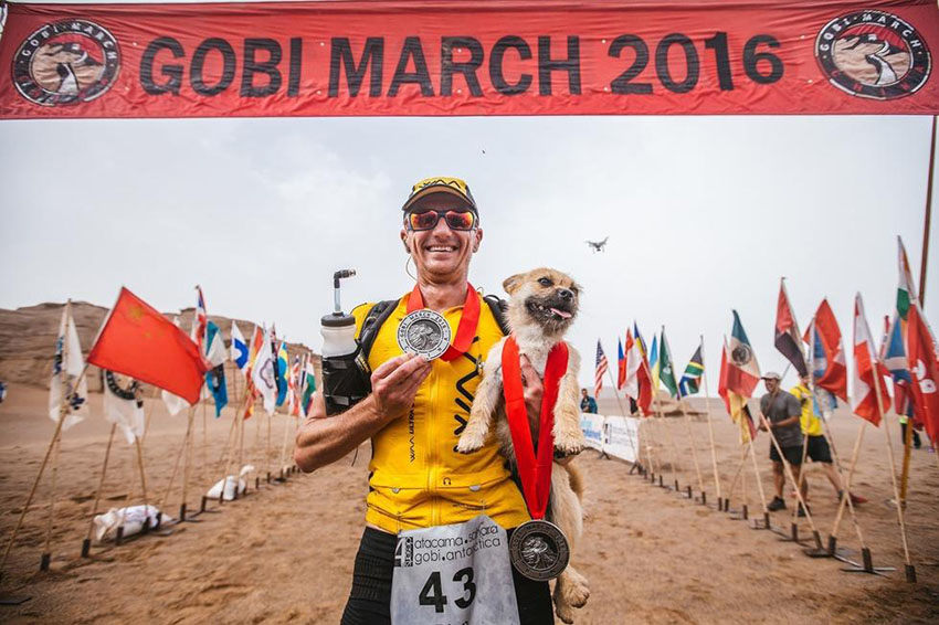 砂漠マラソンを共に走った野良犬　英國選手が探しに新疆へ