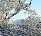 うっすらと山全體を覆う9月の雪