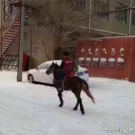 大雪の內(nèi)モンゴル、馬の宅急便が話題