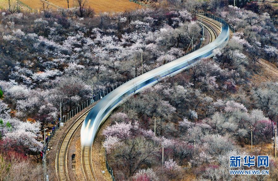 居庸関長(zhǎng)城、春爛漫の中を駆け抜ける高速鉄道「和諧號(hào)」