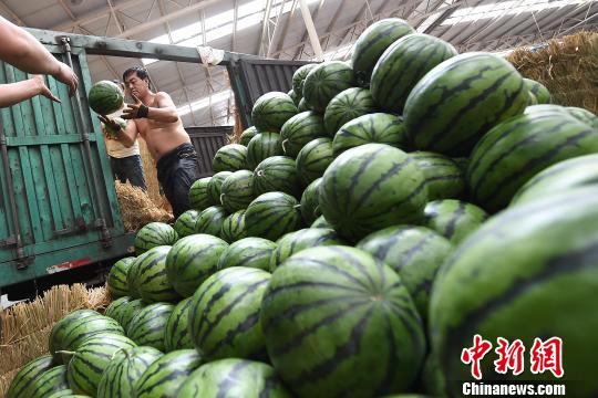 高溫の天気到來で、スイカの売れ行きも上々に