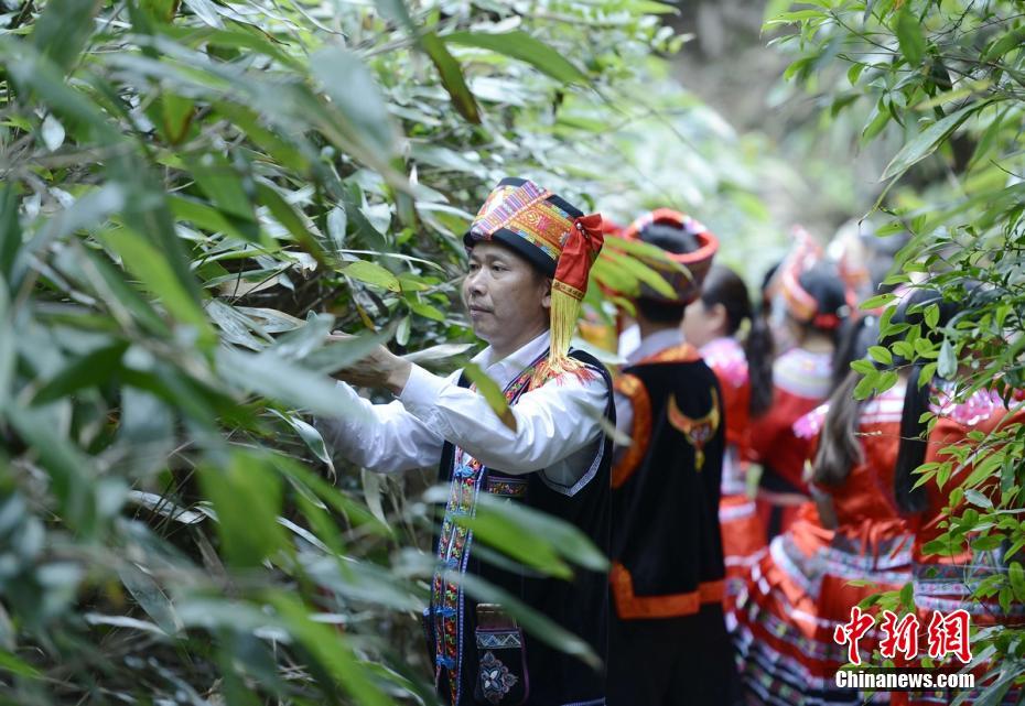 ちまきづくりで端午節(jié)の準(zhǔn)備を行うヤオ族の女性たち　湖南省