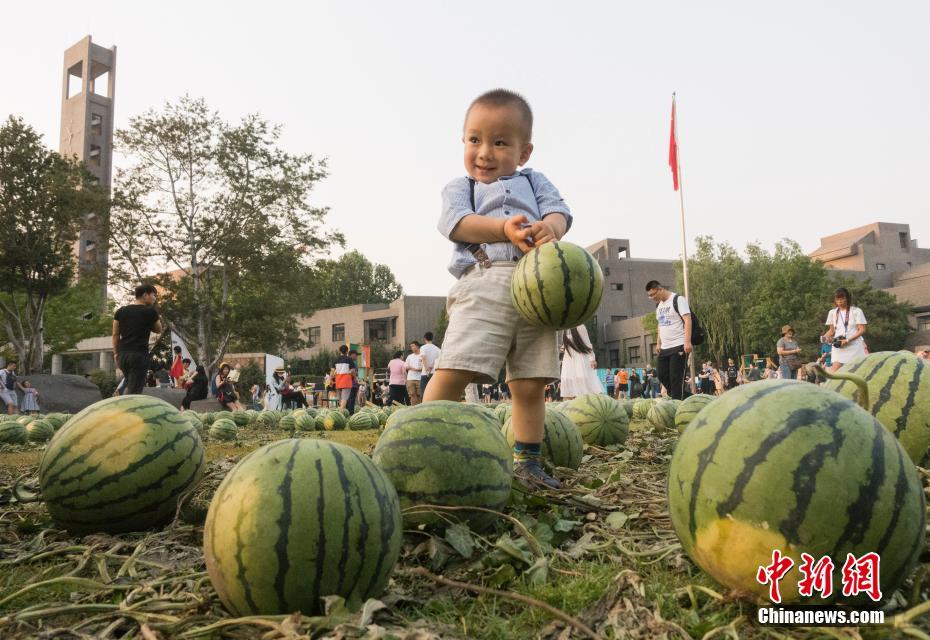 中央美術(shù)學(xué)院卒業(yè)展にスイカ畑が出現(xiàn)、來場者は思い思いにスイカを堪能