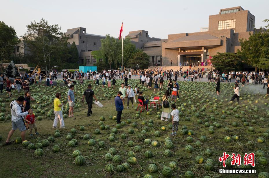 中央美術(shù)學(xué)院卒業(yè)展にスイカ畑が出現(xiàn)、來場者は思い思いにスイカを堪能