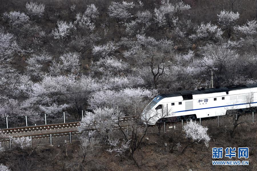 世界に活躍の場を広げる「中國の列車」