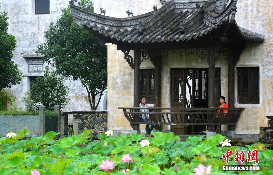 気溫上昇して夏入りの江西省の「最も美しい村」　ハスの花が見ごろに