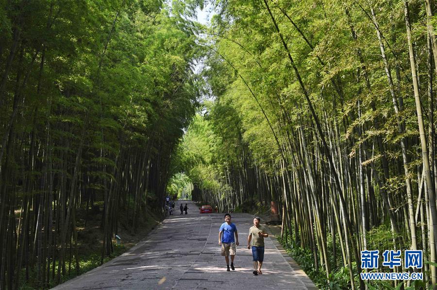 「蜀南竹海」の涼やかな夏の風(fēng)景　四川省