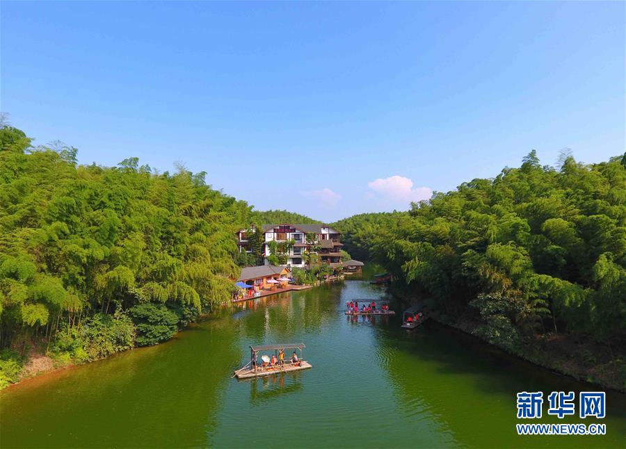 「蜀南竹海」の涼やかな夏の風(fēng)景　四川省