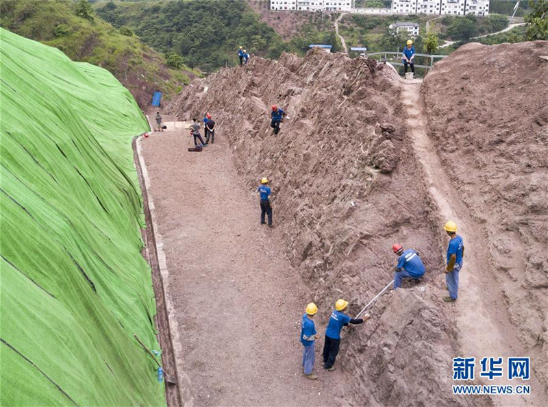 重慶市雲(yún)陽県で世界クラスの恐竜化石群発見