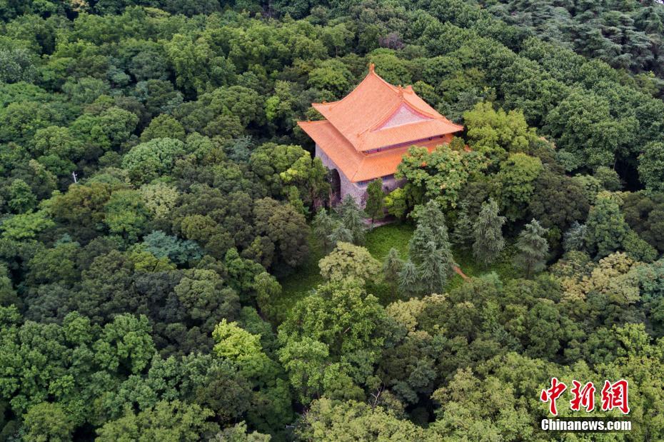 今年で世界遺産登録14周年　明朝最初の陵墓?明孝陵　南京