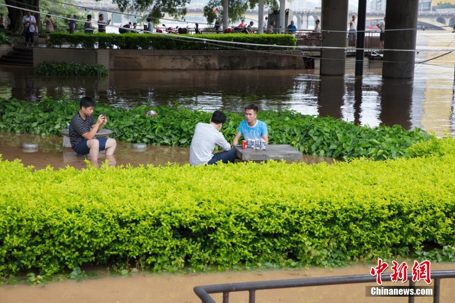 警戒水位を超えても悠然と広場ダンスを楽しむ市民