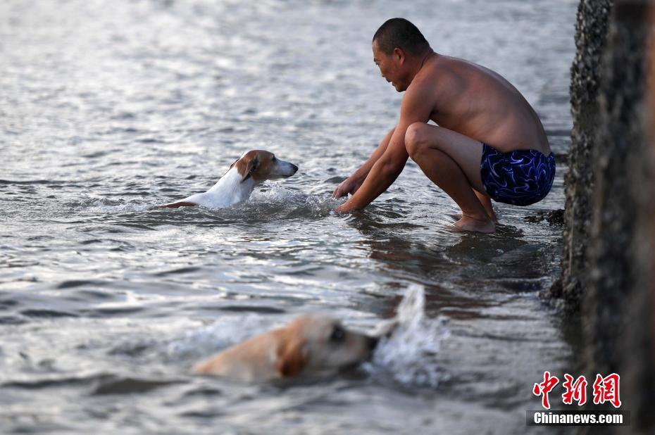 猛暑が続く廈門市、市民たちは海辺で水遊び