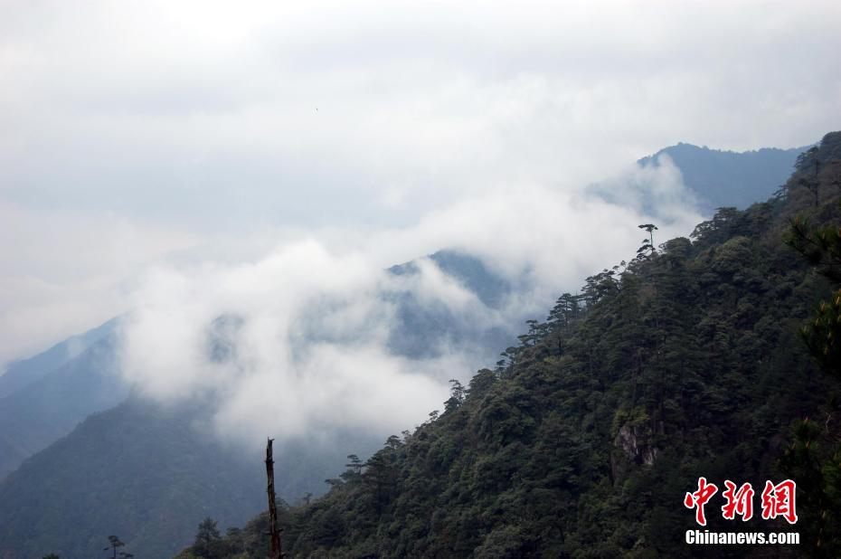 鉛山県の武夷山が江西省初の文化と自然の複合遺産に