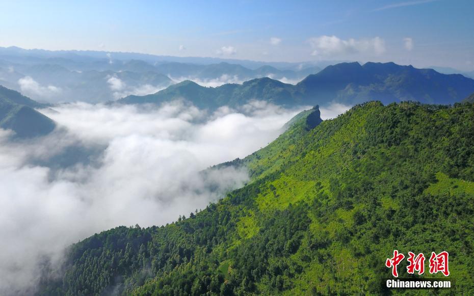 深い霧に包まれた仙境　貴州省の小さな村の早朝の絶景