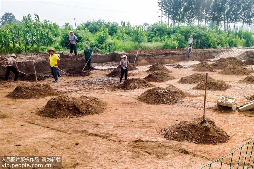 劉荘遺跡の発掘調(diào)査再開　劉荘墓地の全貌がほぼ明らかに