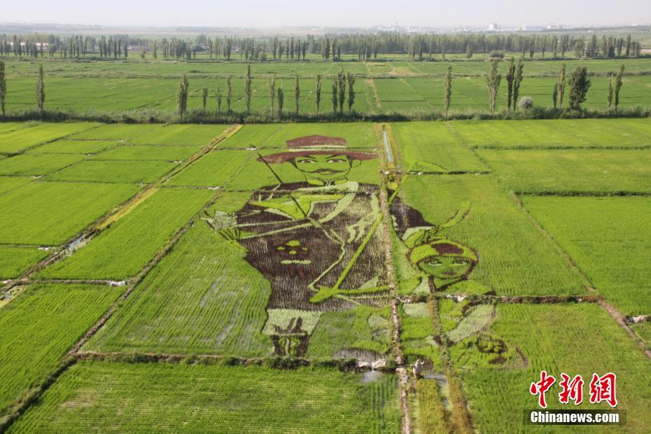 巨大なアート作品が出現(xiàn)　田んぼに描かれた「三生三世十里桃花」　新疆