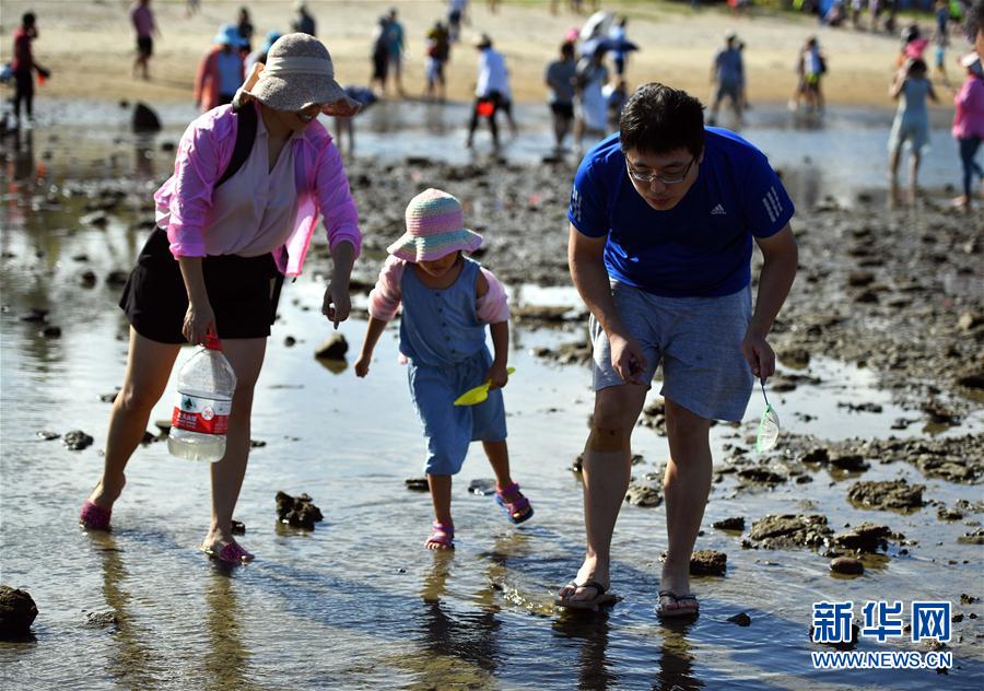 貝を拾い、カニを捕まえる潮干狩り體験　海南省