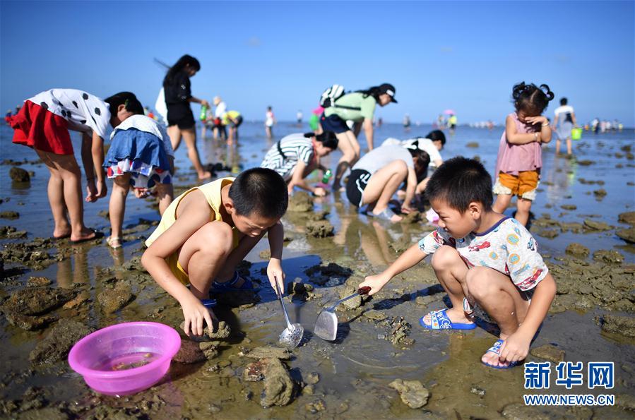 貝を拾い、カニを捕まえる潮干狩り體験　海南省