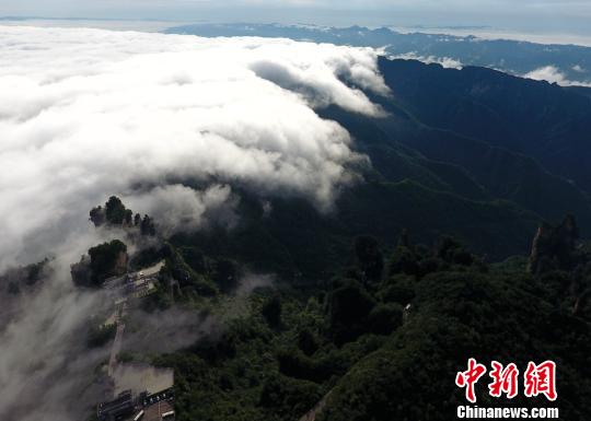 雨上がりの天子山で幻想的な雲(yún)海の絶景広がる　張家界市