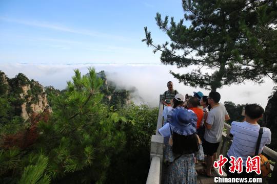 雨上がりの天子山で幻想的な雲(yún)海の絶景広がる　張家界市