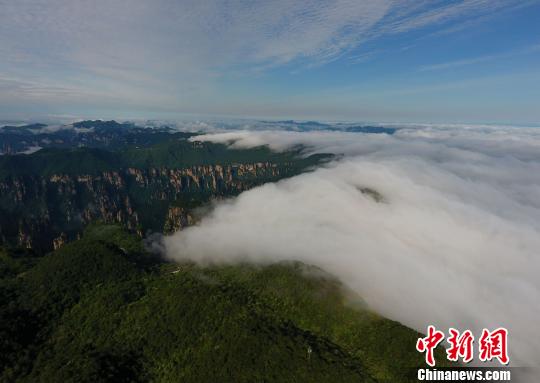 雨上がりの天子山で幻想的な雲(yún)海の絶景広がる　張家界市