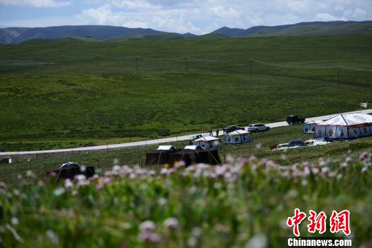 秋の粛南草原を駆ける馬やのんびり移動する羊の群れ　甘粛省