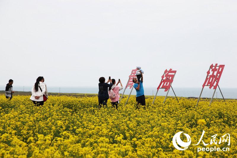 最も美しい景色が見られる時(shí)期となった青海湖　青海省