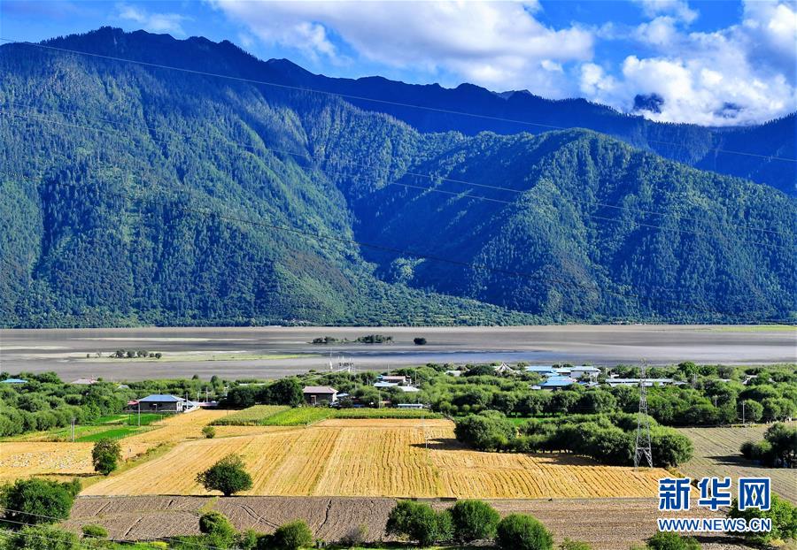 養(yǎng)鶏場や果樹栽培の発展で物々交換の歴史に幕下したチベットの村