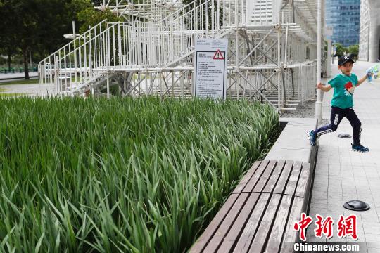 上海の街中に水田が出現(xiàn)　田園風(fēng)景を體感する市民たち