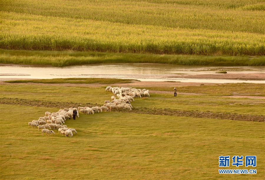 金秋のおとずれ感じさせる渾河両岸の風景　內モンゴル