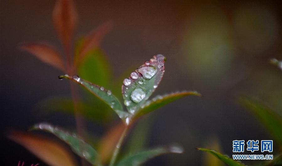 秋雨が降り、秋が深まる揚州市