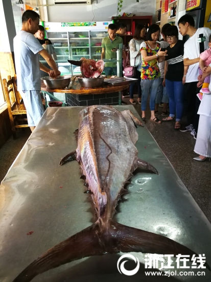 海釣り愛(ài)好家が90キロの巨大マグロ釣り上げる　浙江省