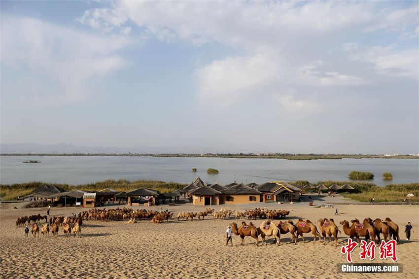 空から見た自然の楽園「塞上明珠」沙湖　寧夏回族自治區(qū)