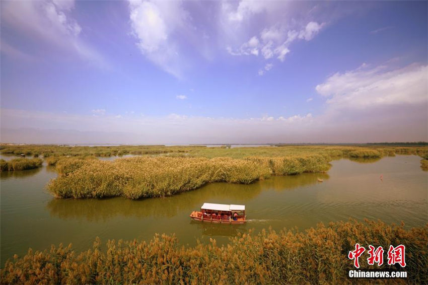 空から見(jiàn)た自然の楽園「塞上明珠」沙湖　寧夏回族自治區(qū)