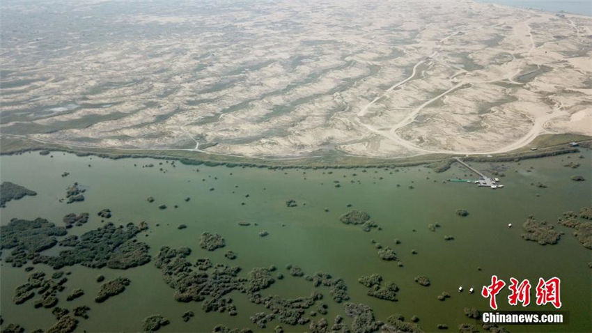 空から見た自然の楽園「塞上明珠」沙湖　寧夏回族自治區(qū)