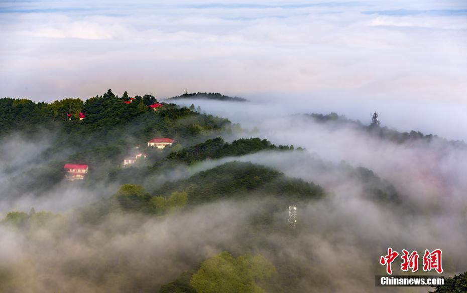 雲(yún)霧に包まれた幻想的な風景　世界でも名高い廬山の雲(yún)海