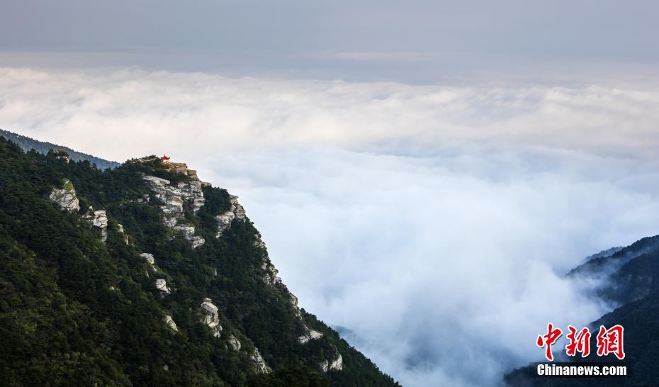 雲(yún)霧に包まれた幻想的な風(fēng)景　世界でも名高い廬山の雲(yún)海