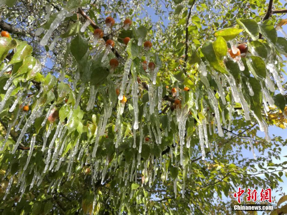 中國北方の広い範(fàn)囲で雨模様、初雪観測も多數(shù)